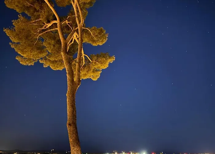 Nid Douillet Vue Appartement Hyères