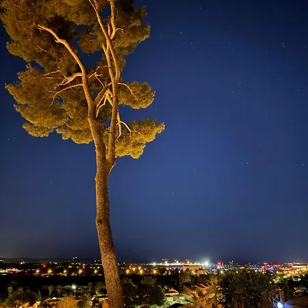 Nid Douillet Vue Appartement Hyères