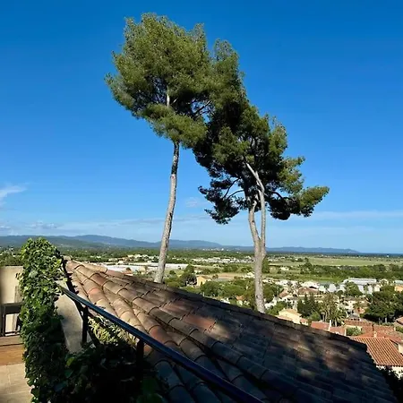 Nid Douillet Vue